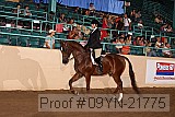 09yn-21775 proof