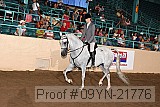 09yn-21776 proof