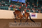09yn-21779 proof
