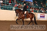 09yn-21780 proof