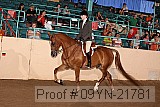09yn-21781 proof
