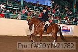 09yn-21782 proof