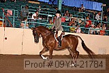 09yn-21784 proof