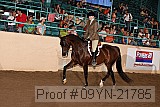 09yn-21785 proof