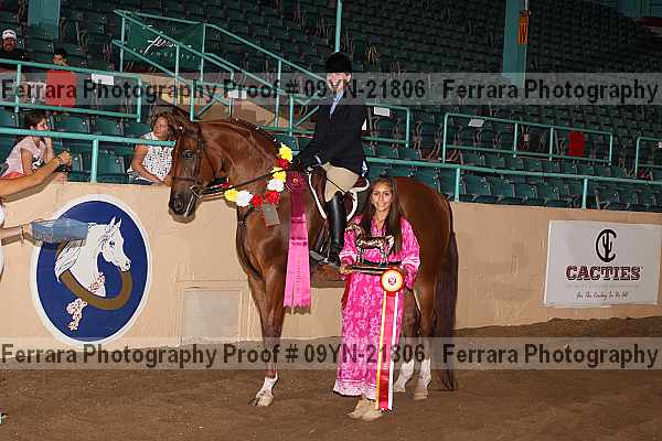Proof 09yn-21806