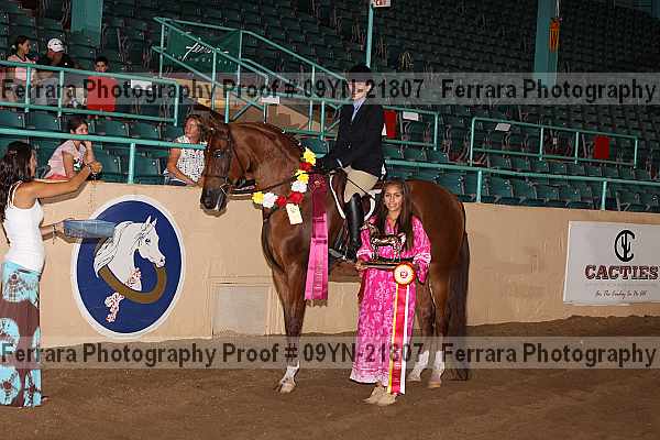 Proof 09yn-21807
