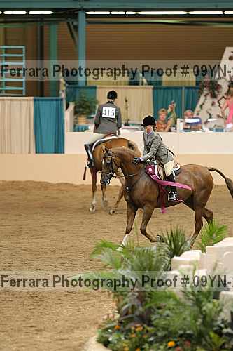 Proof 09yn-21814