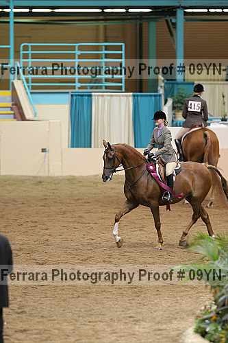 Proof 09yn-21815