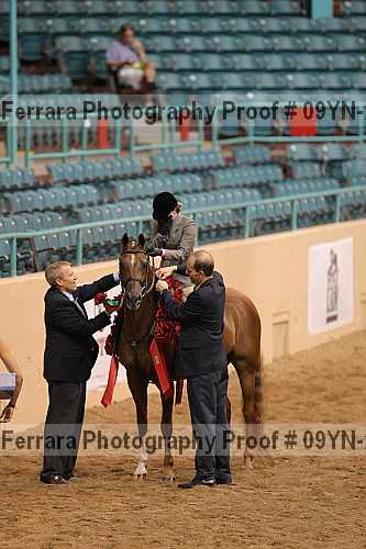 Proof 09yn-21817