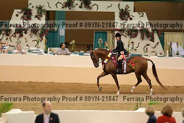 Proof 09yn-21847