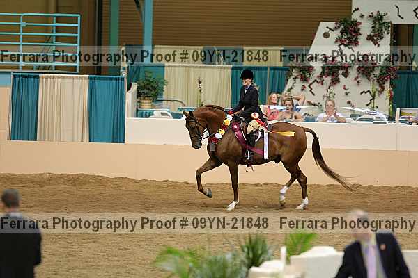 Proof 09yn-21848