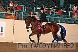 09yn-21852 proof