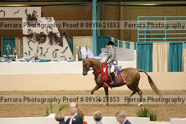 Proof 09yn-21853