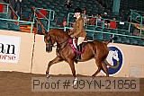 09yn-21856 proof