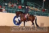 09yn-21863 proof