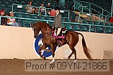09yn-21866 proof
