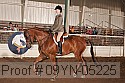 09yn-05225 proof