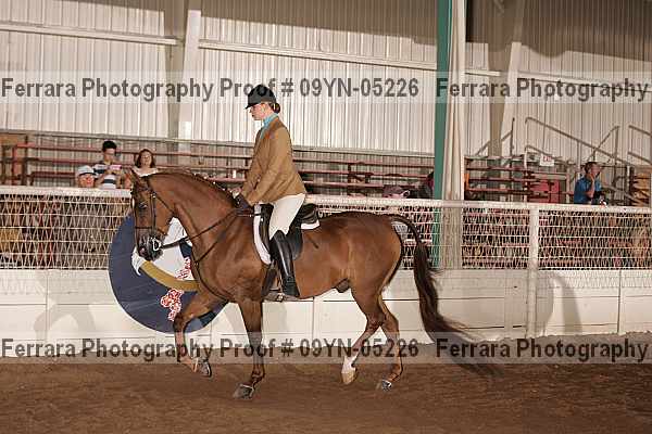 Proof 09yn-05226