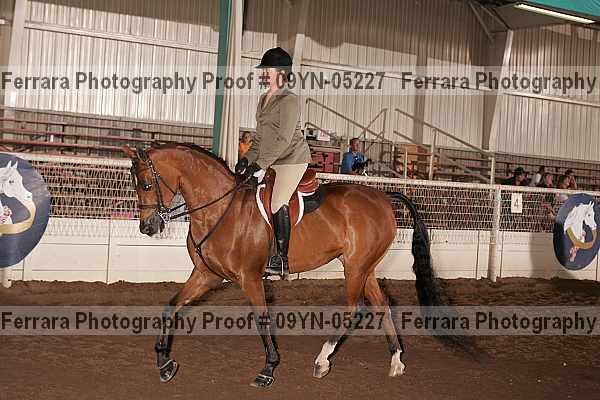 Proof 09yn-05227
