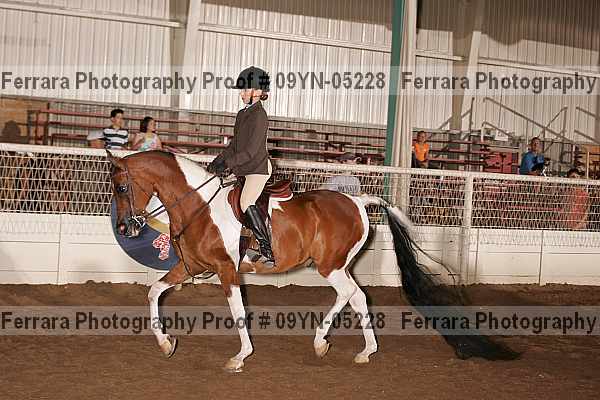 Proof 09yn-05228