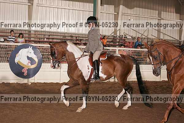 Proof 09yn-05230