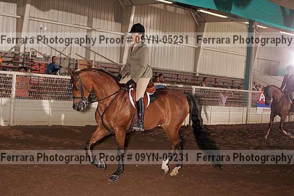 Proof 09yn-05231