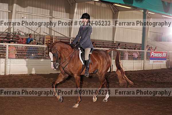 Proof 09yn-05233