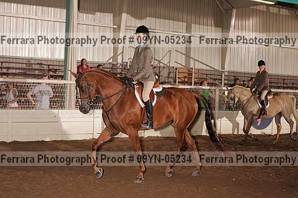 Proof 09yn-05234