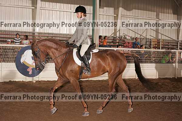 Proof 09yn-05236