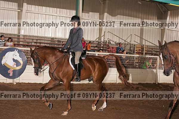 Proof 09yn-05237