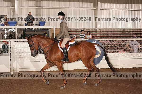Proof 09yn-05240