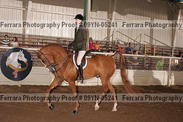 Proof 09yn-05241