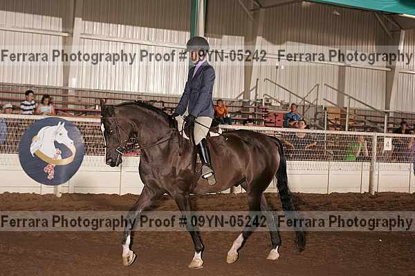 Proof 09yn-05242