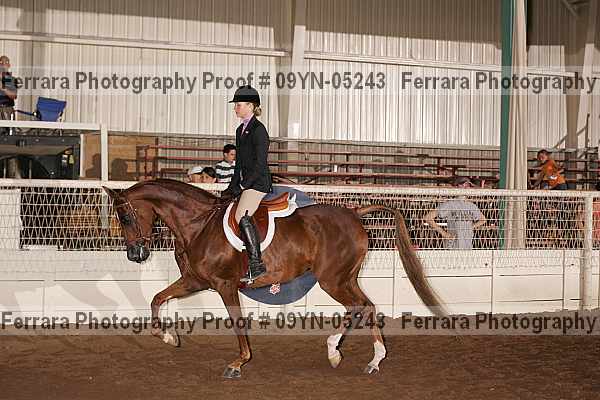 Proof 09yn-05243