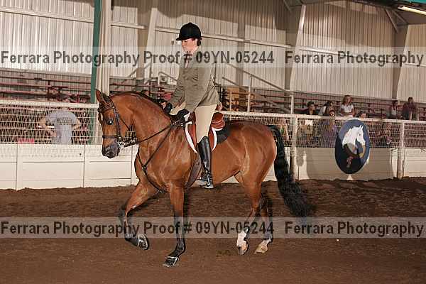 Proof 09yn-05244
