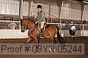 09yn-05244 proof