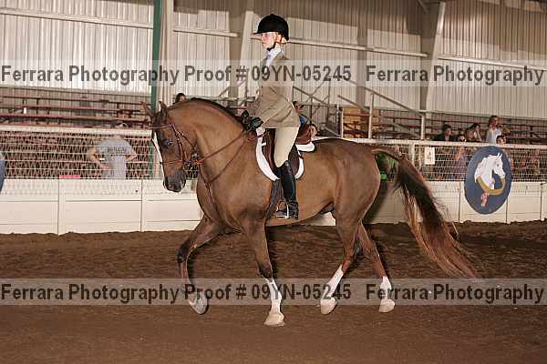 Proof 09yn-05245