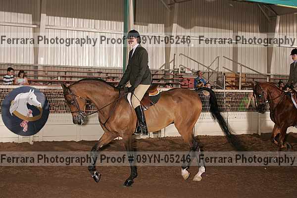 Proof 09yn-05246