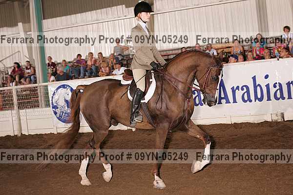 Proof 09yn-05249