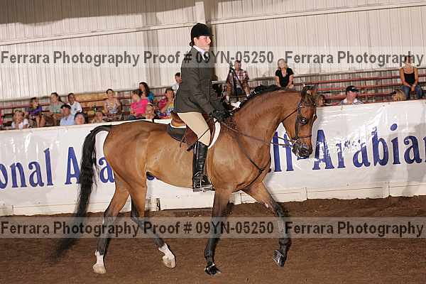 Proof 09yn-05250