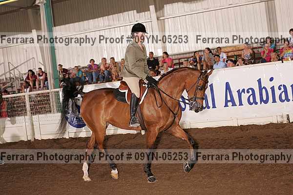 Proof 09yn-05253
