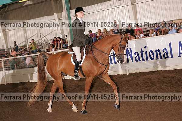 Proof 09yn-05256