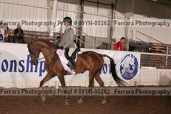 Proof 09yn-05262