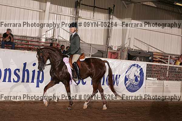 Proof 09yn-05264