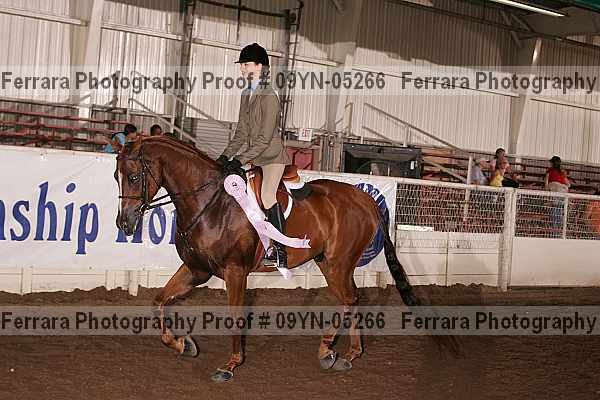 Proof 09yn-05266