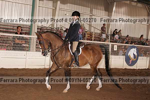 Proof 09yn-05270