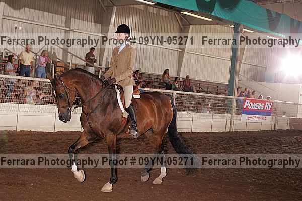 Proof 09yn-05271