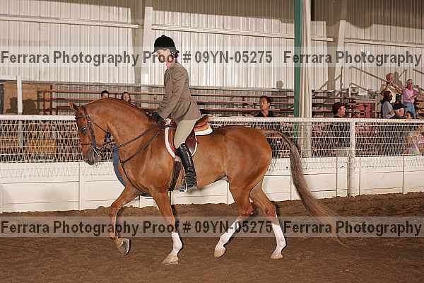 Proof 09yn-05275