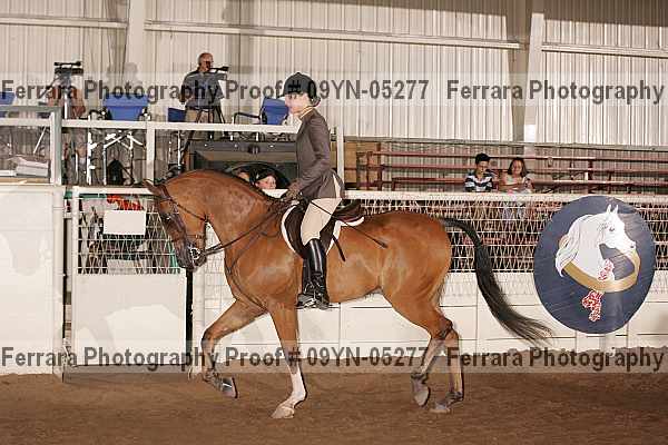 Proof 09yn-05277