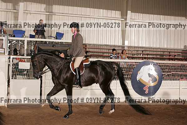 Proof 09yn-05278